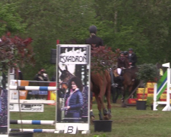 Reitturnier Kreuzkrug 2016