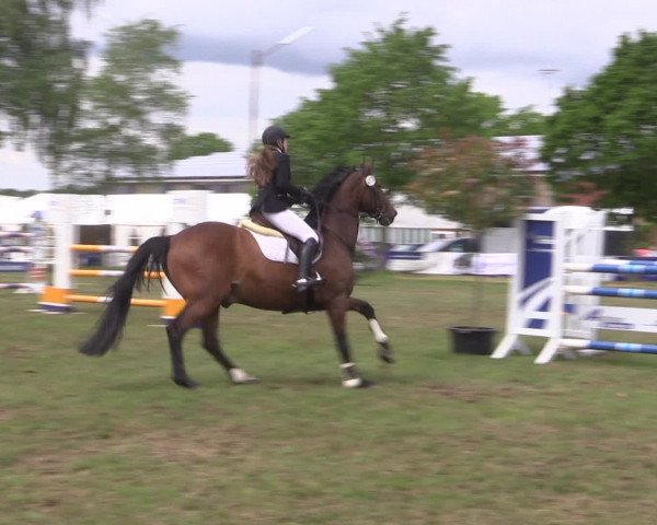 Reitturnier Kreuzkrug 2016