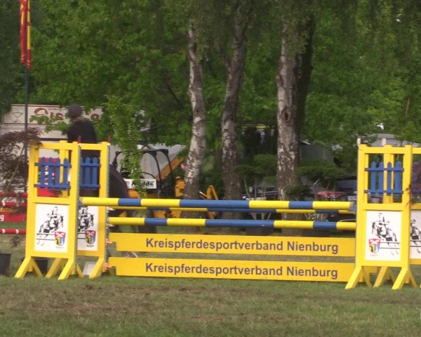 Reitturnier Kreuzkrug 2016