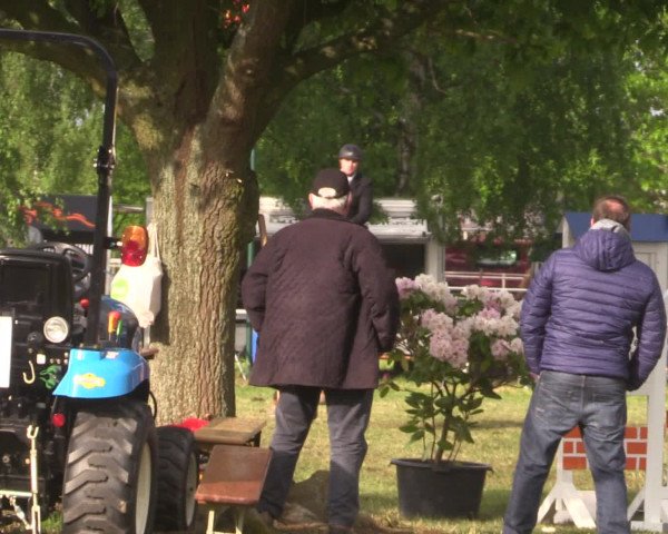 Reitturnier Kreuzkrug 2016