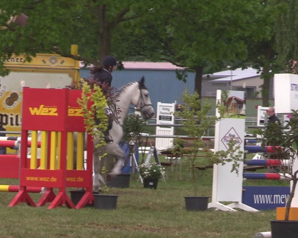 Reitturnier Kreuzkrug 2016