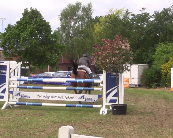 Reitturnier Kreuzkrug 2016