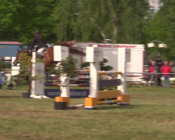 Reitturnier Kreuzkrug 2016
