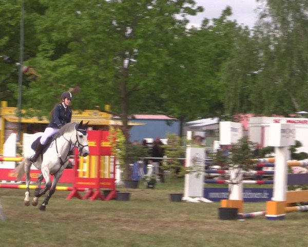 Reitturnier Kreuzkrug 2016