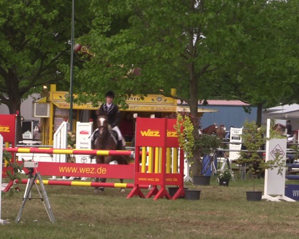 Reitturnier Kreuzkrug 2016