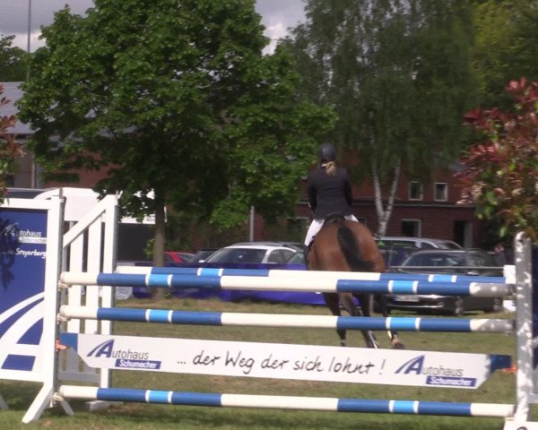 Reitturnier Kreuzkrug 2016