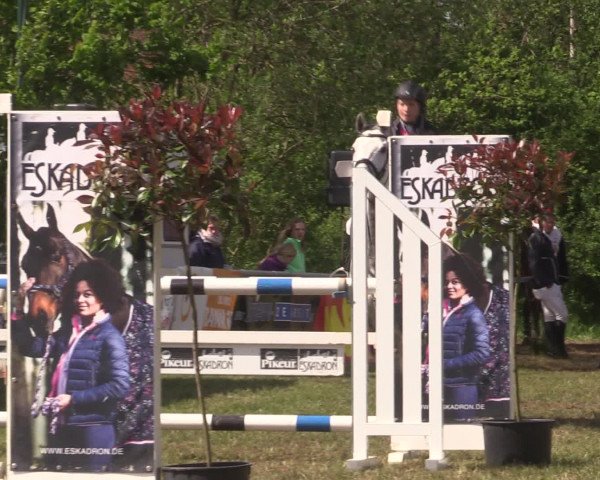 Reitturnier Kreuzkrug 2016