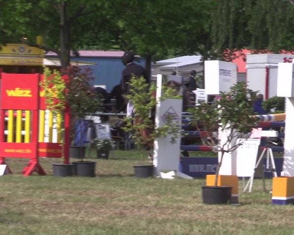 Reitturnier Kreuzkrug 2016