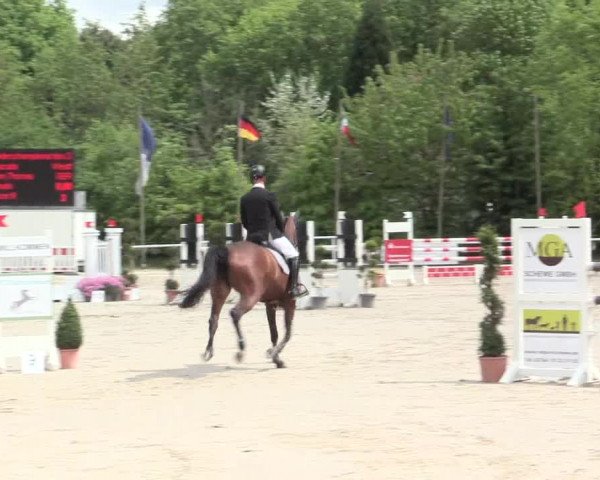 Reitturnier Bochum-Nord 2016