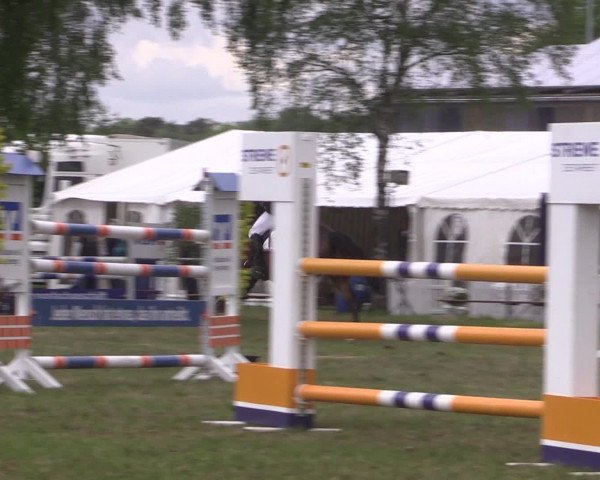Reitturnier Kreuzkrug 2016