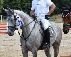 jumper Catherine 3 (Hanoverian, 2013, from Casino Berlin OLD)
