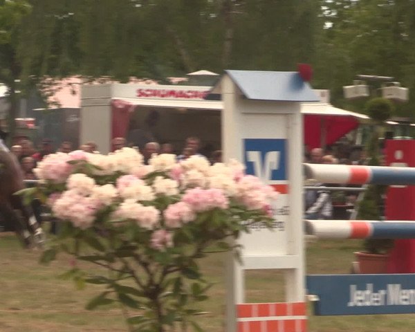 Reitturnier Kreuzkrug 2016