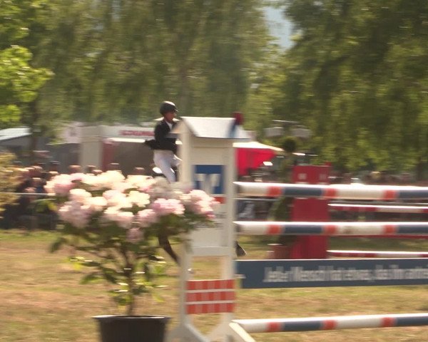 Reitturnier Kreuzkrug 2016