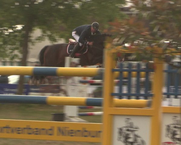 Reitturnier Kreuzkrug 2016