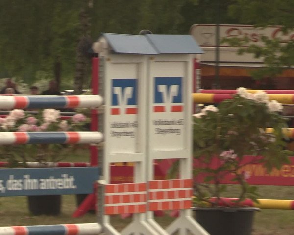 Reitturnier Kreuzkrug 2016