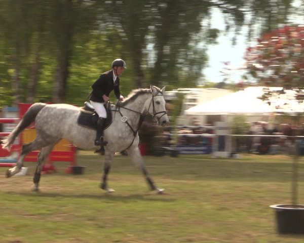 Reitturnier Kreuzkrug 2016