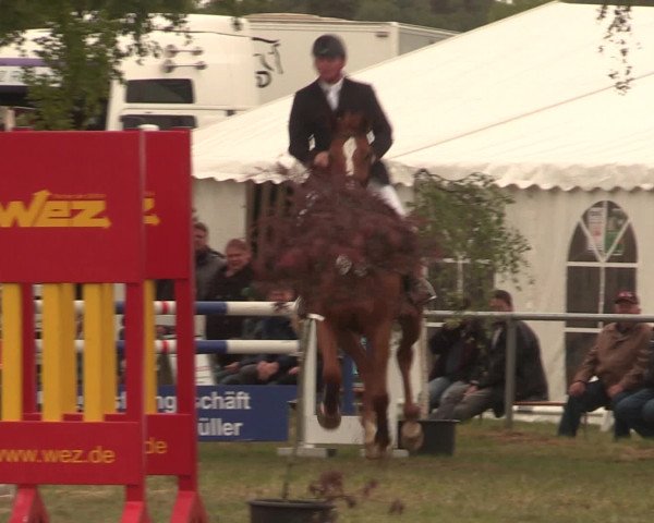 Reitturnier Kreuzkrug 2016