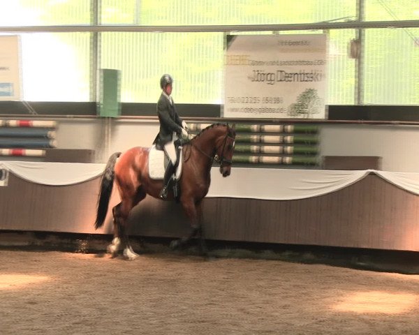 Reitturnier Bochum-Nord 2016