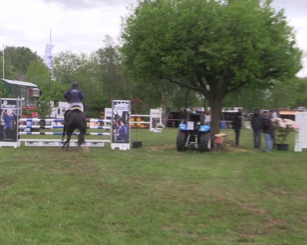 Reitturnier Kreuzkrug 2016