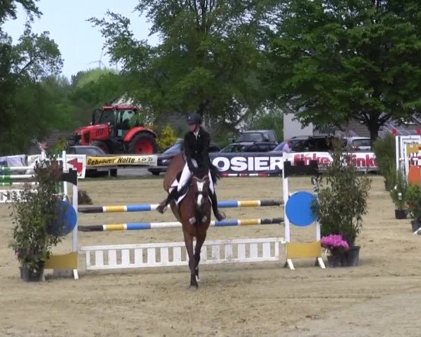Reitturnier Iserlohn-Kalthof 2016