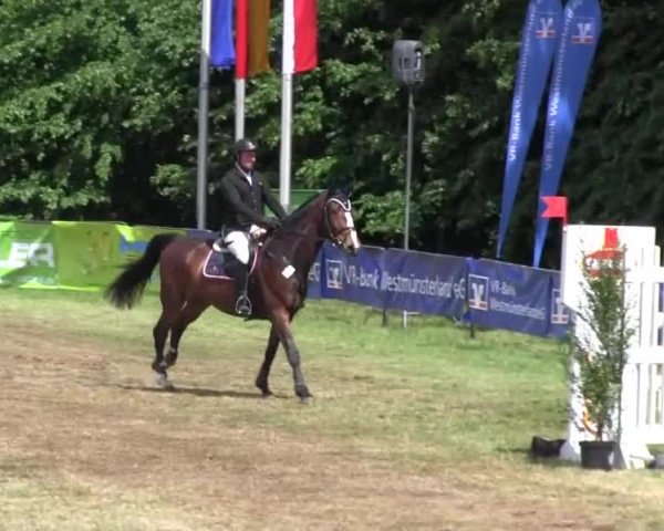 Reitturnier Borken 2016