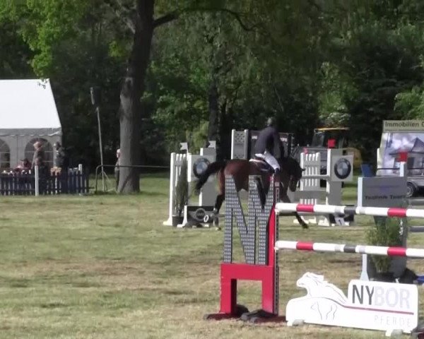 Reitturnier Borken 2016