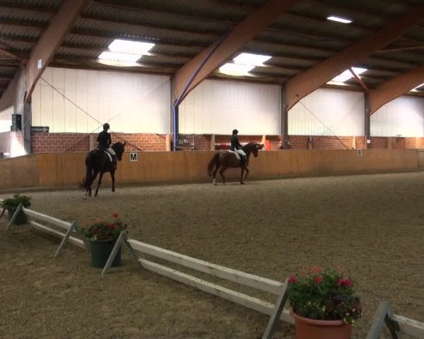 Reitturnier Iserlohn-Kalthof 2016