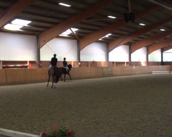 Reitturnier Iserlohn-Kalthof 2016