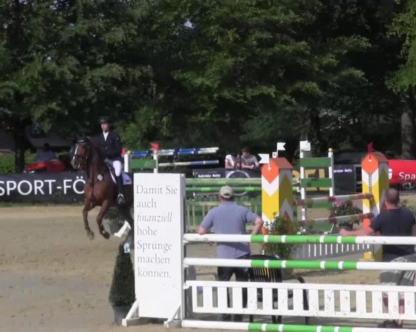 Reitturnier Iserlohn-Kalthof 2016