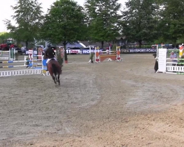 Reitturnier Iserlohn-Kalthof 2016
