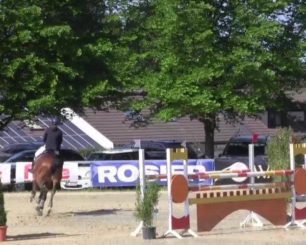 Reitturnier Iserlohn-Kalthof 2016