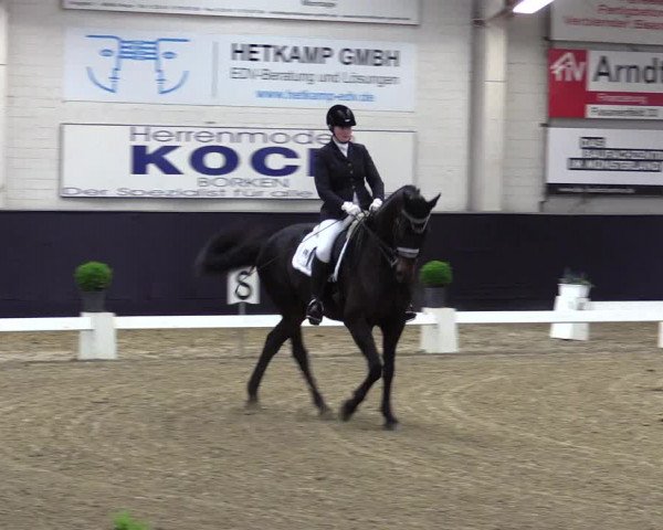 Reitturnier Borken 2016
