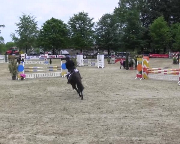 Reitturnier Iserlohn-Kalthof 2016