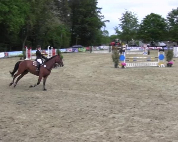 Reitturnier Iserlohn-Kalthof 2016