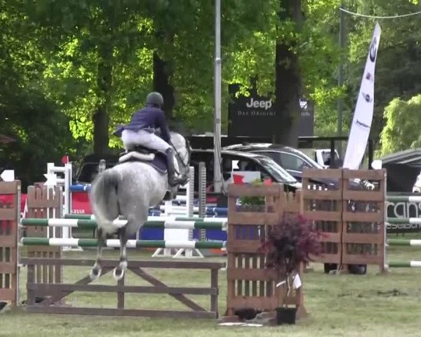 Reitturnier Borken 2016
