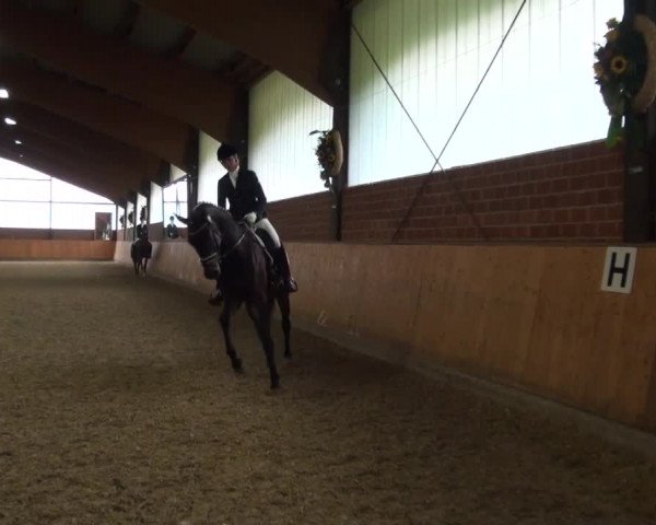 Reitturnier Iserlohn-Kalthof 2016