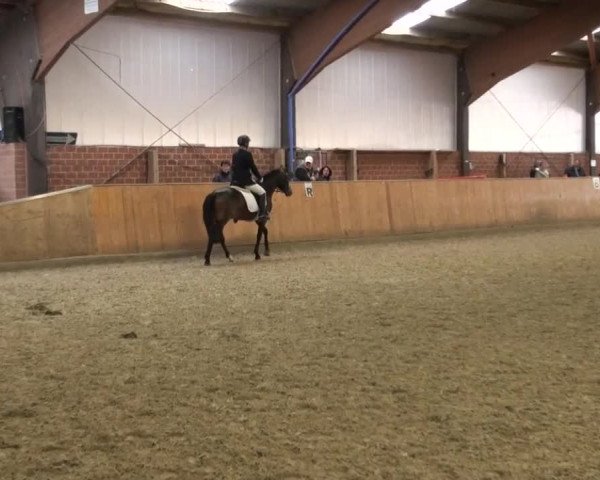Reitturnier Iserlohn-Kalthof 2016