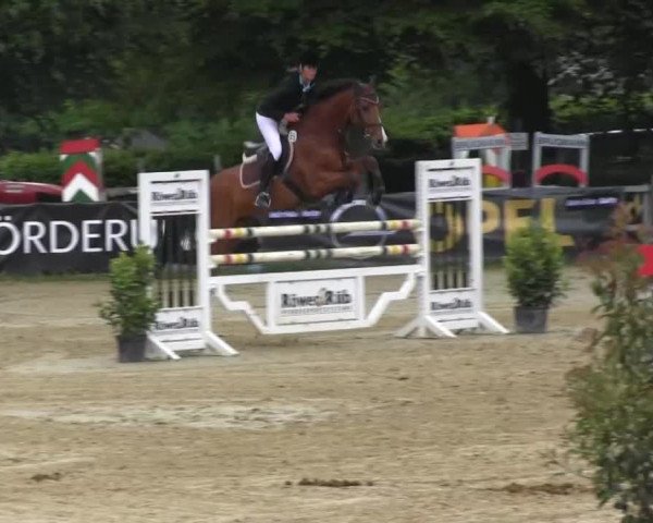 Reitturnier Iserlohn-Kalthof 2016