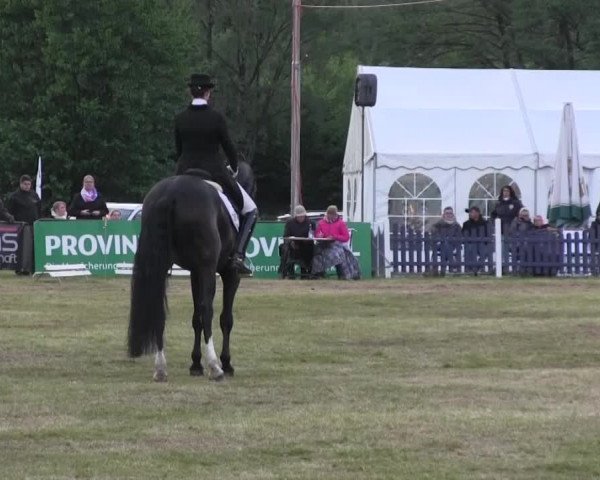 Reitturnier Borken 2016