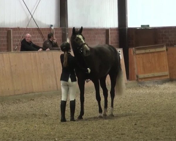 Reitturnier Iserlohn-Kalthof 2016