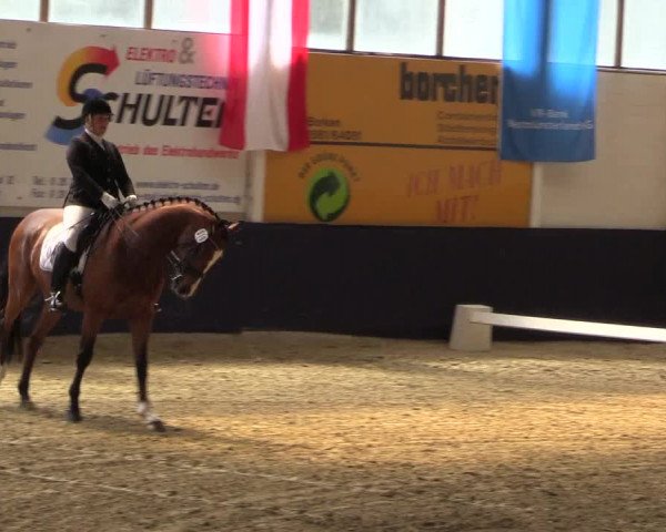 Reitturnier Borken 2016