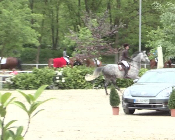Reitturnier Bochum-Nord 2016