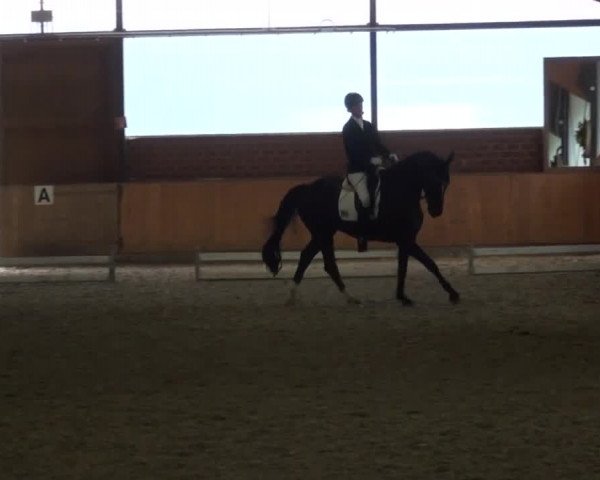 Reitturnier Iserlohn-Kalthof 2016
