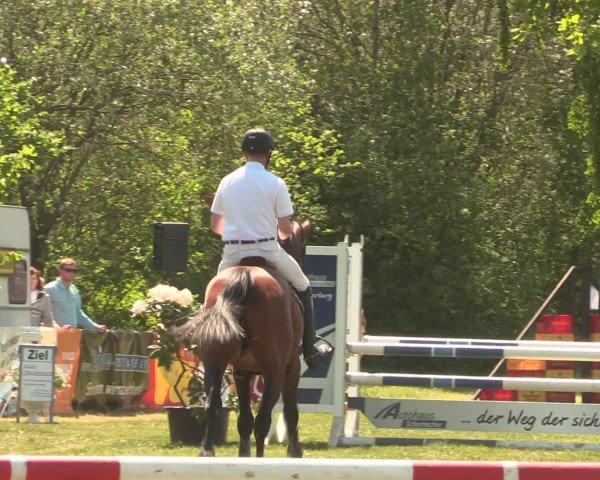 Reitturnier Kreuzkrug 2016