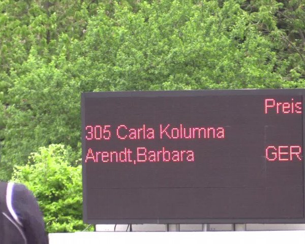 Reitturnier Bochum-Nord 2016