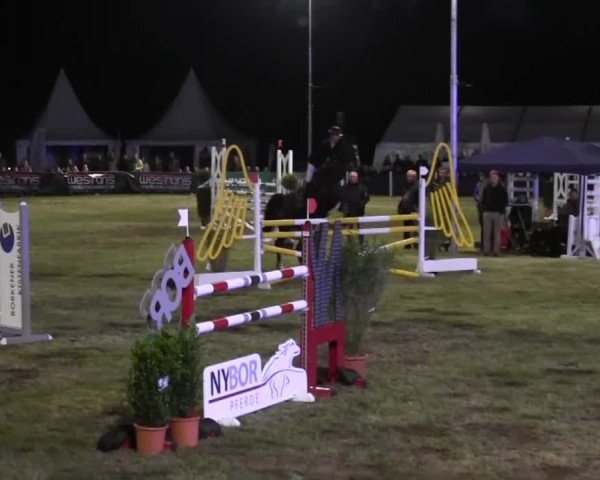 Reitturnier Borken 2016