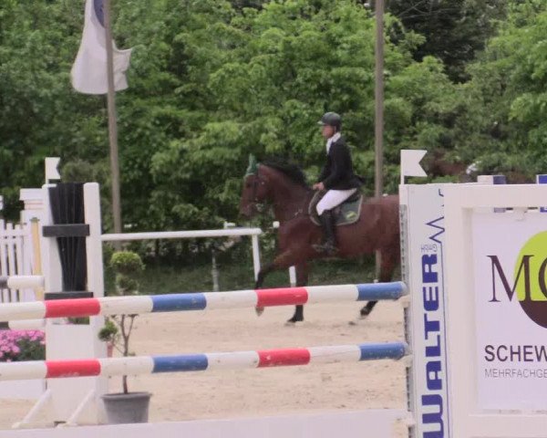 Reitturnier Bochum-Nord 2016