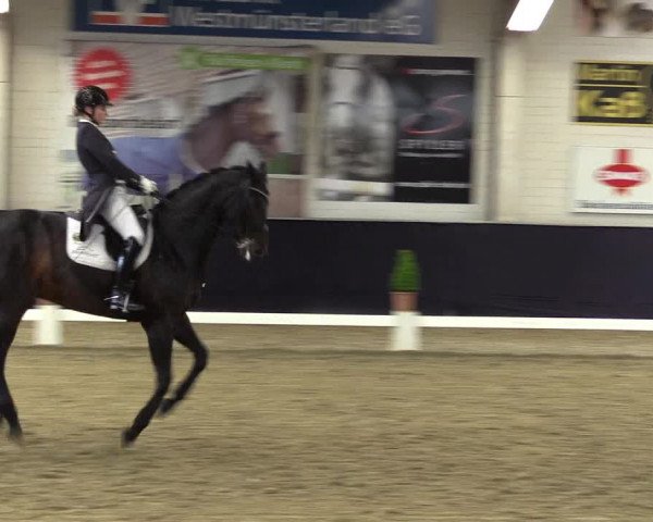 Reitturnier Borken 2016