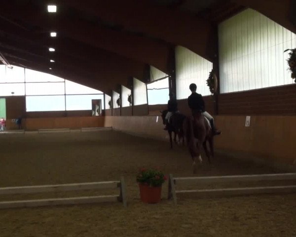 Reitturnier Iserlohn-Kalthof 2016