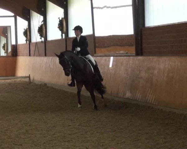 Reitturnier Iserlohn-Kalthof 2016